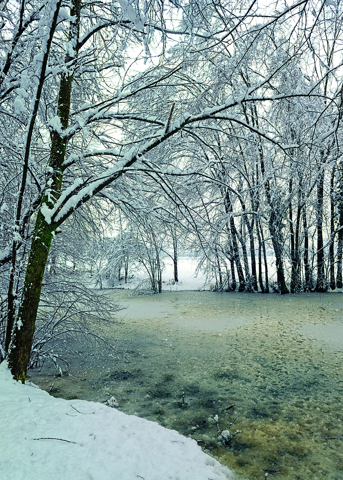 Iced pond