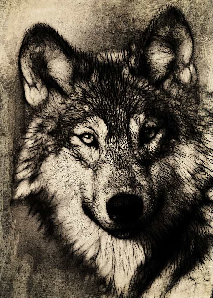 The Gray