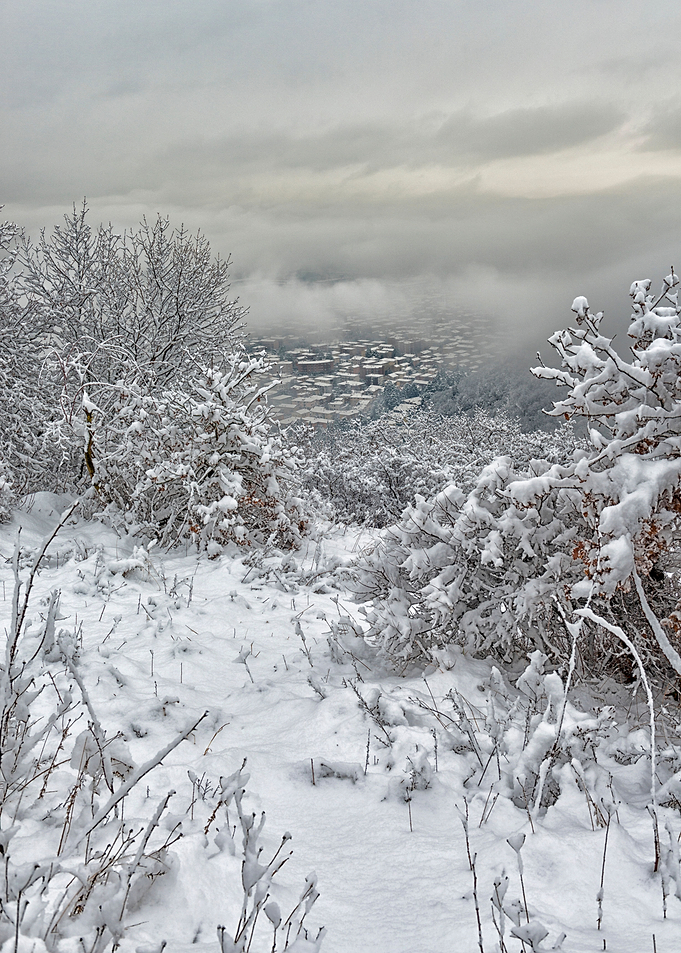 The snow over the city
