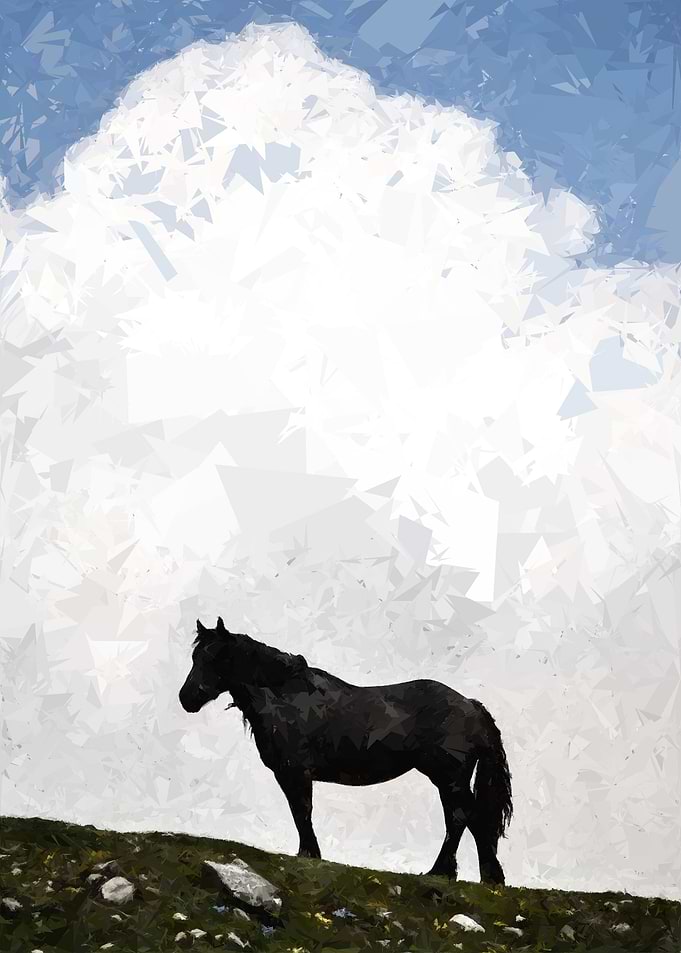 the Horse
