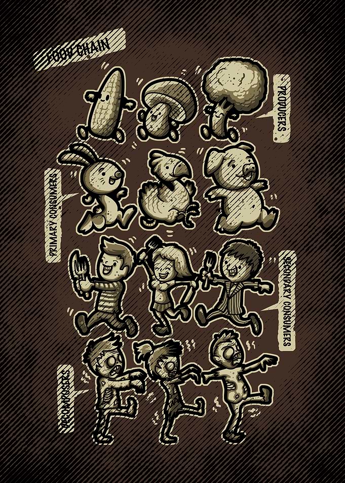 Food Chain