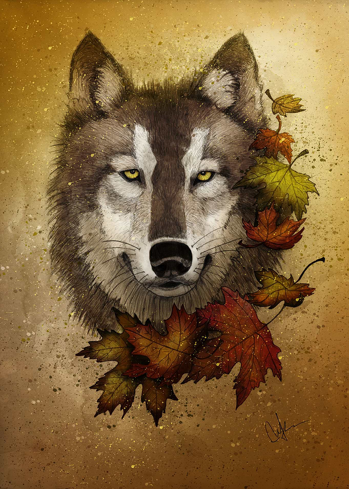 Autumn Wolf