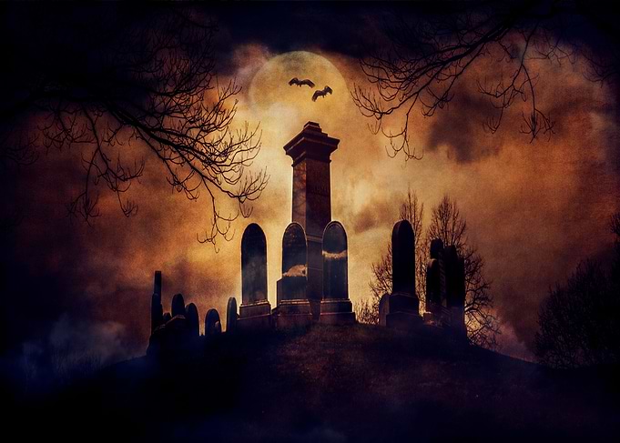 Circles Of Stone