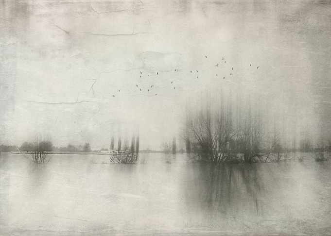 Flooded meadows of river R