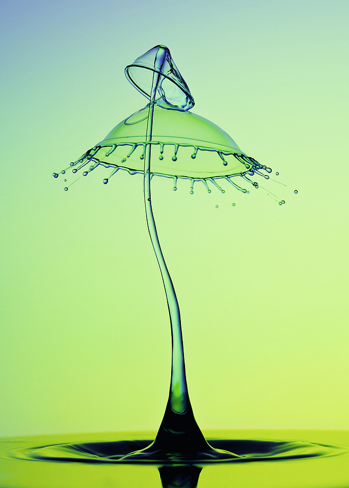 Double umbrella