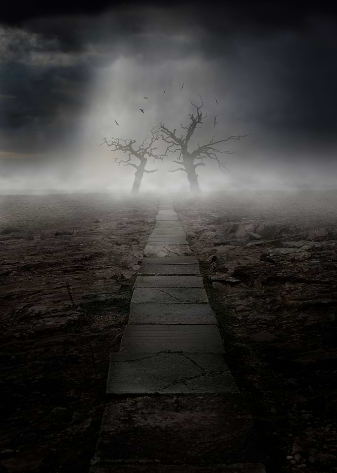 Forgotten land