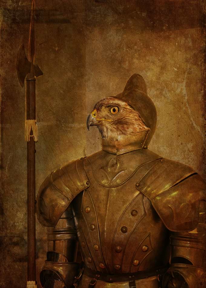 Knight Hawk