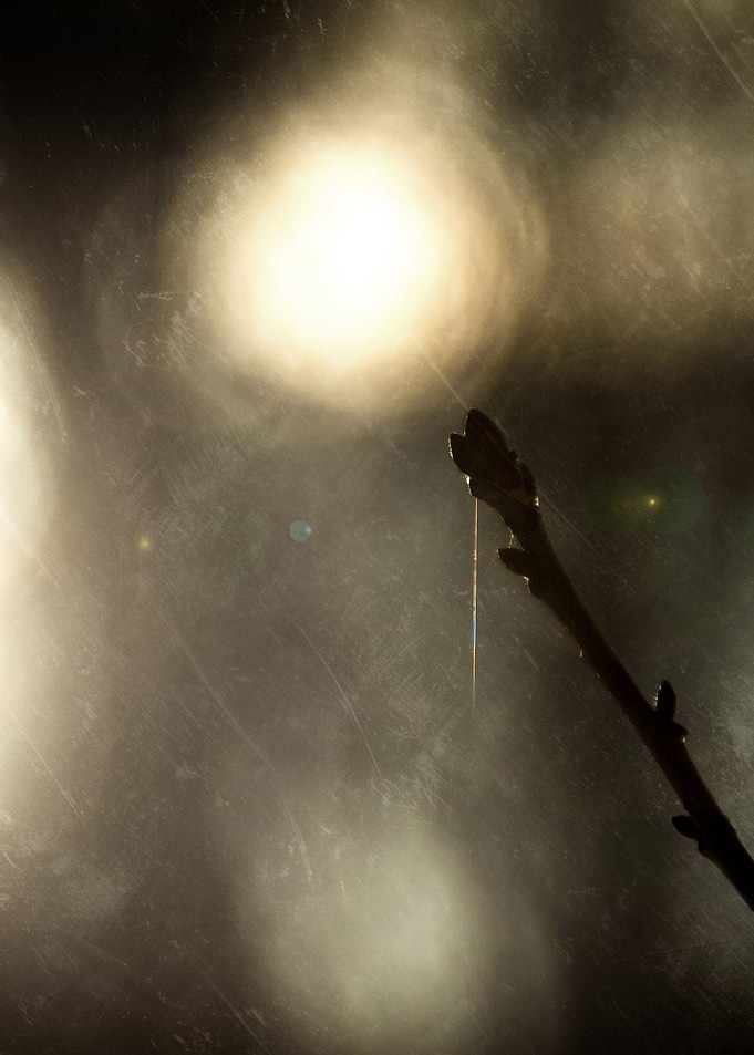 Macro