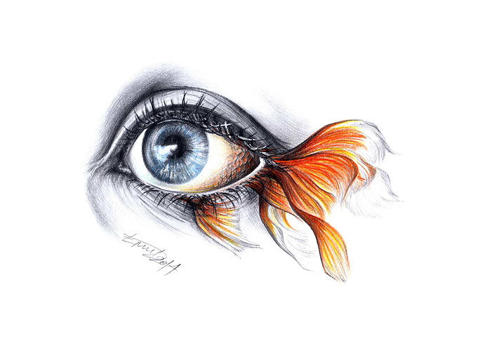 All I see is a sea