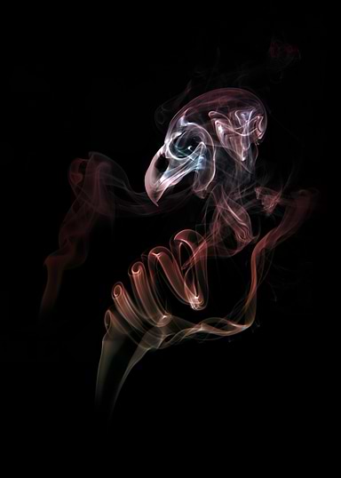 Smoke bird