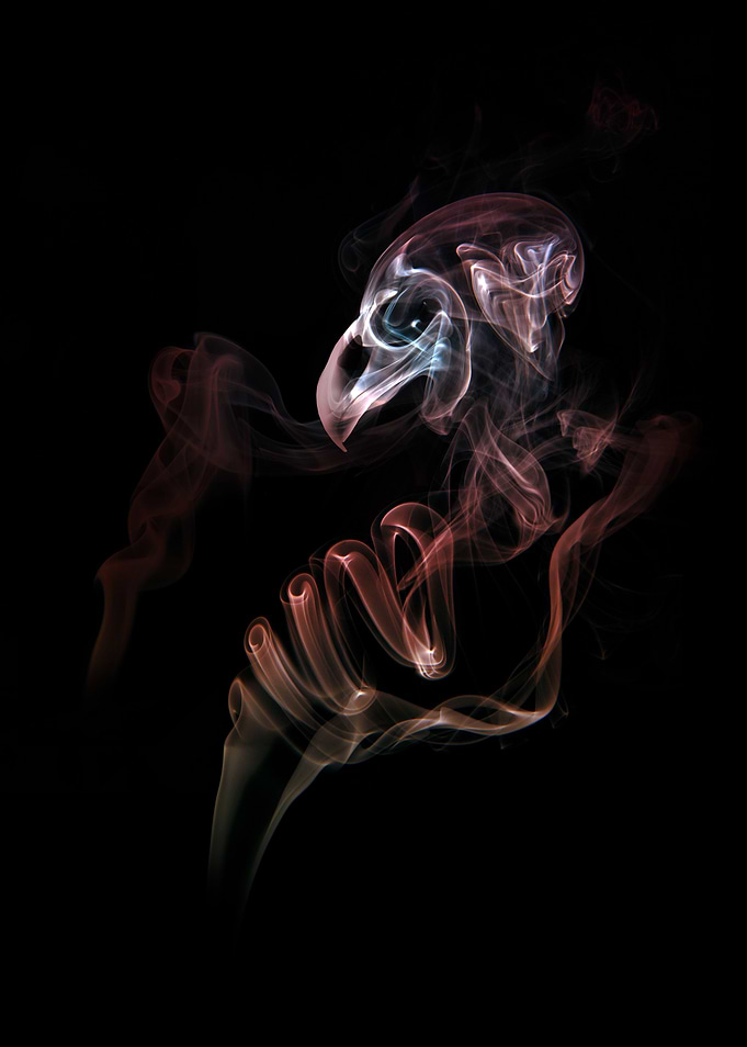 Smoke bird