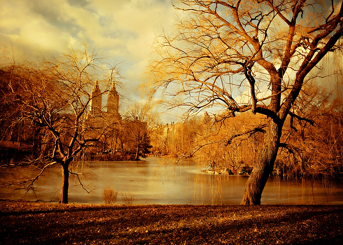 Bare Beauty in New Yorks Central Park on the cusp betwe ...