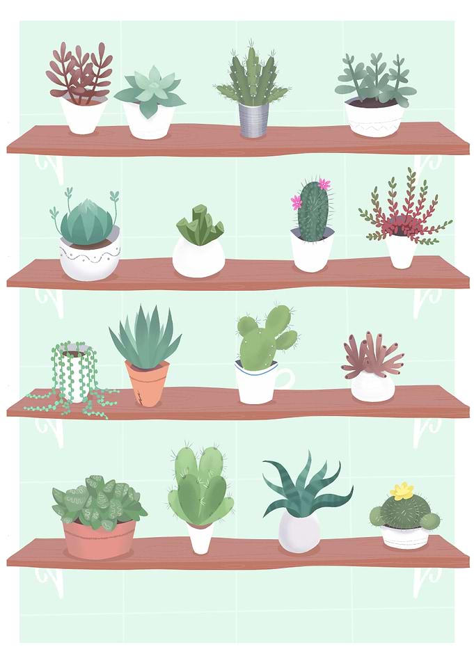 Tiny plants