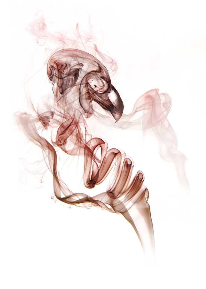 Smoke bird. White version