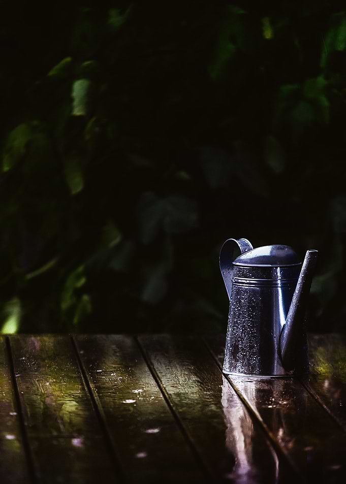 Spring rain