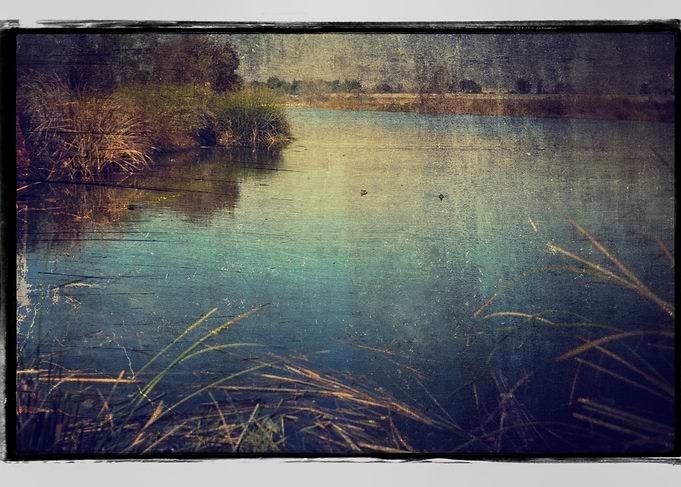 Sepulveda Basin