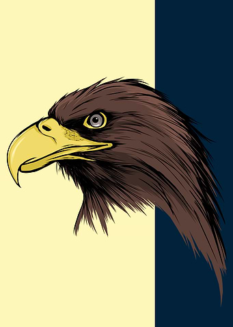 AGUILAS AMERICA CAMPEON