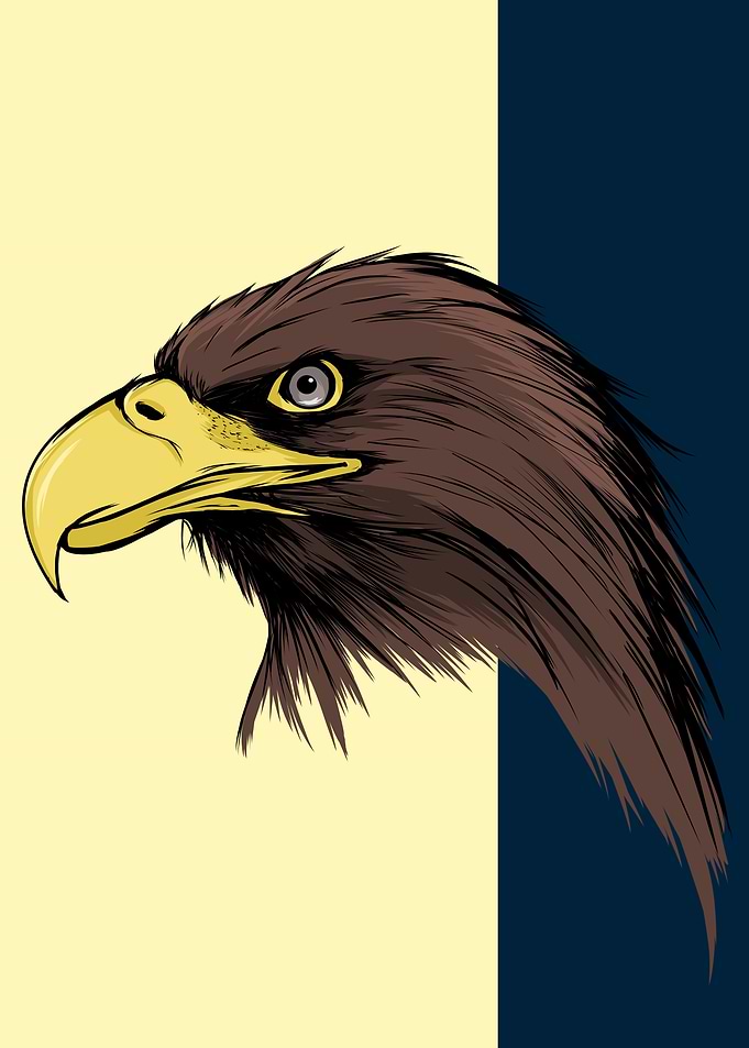 AGUILAS AMERICA CAMPEON