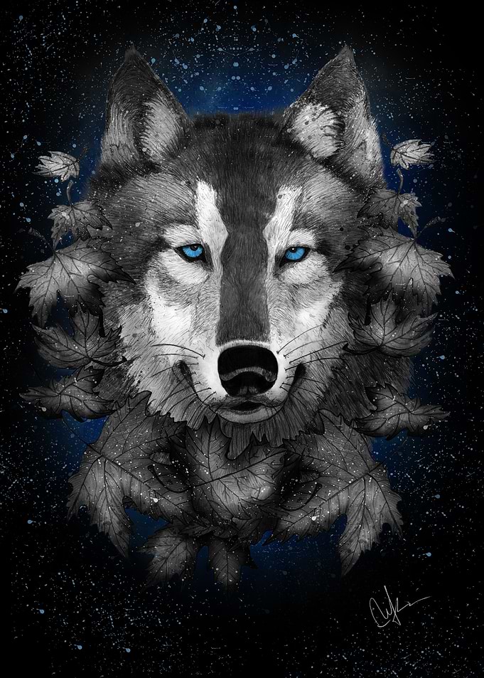 Night Wolf