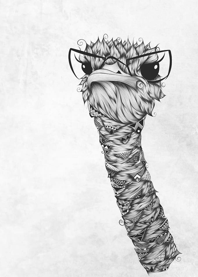 Ostrich