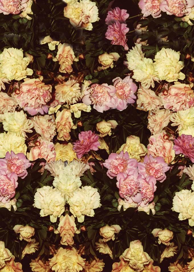 LFloral Terrible