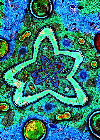 Starfish Galaxy