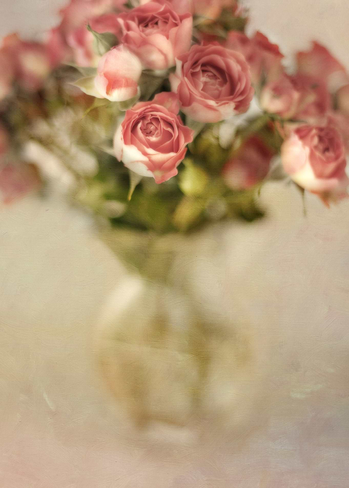 Still life of a bouquet of pale pink spray roses in a v ...