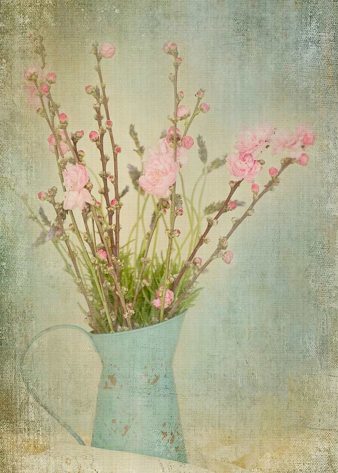Vintage still life of pink spring blossoms and lavender ...
