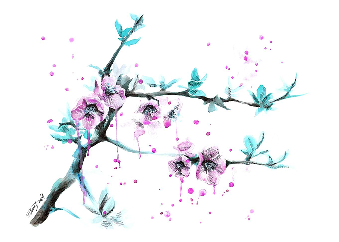 Spring blossoms