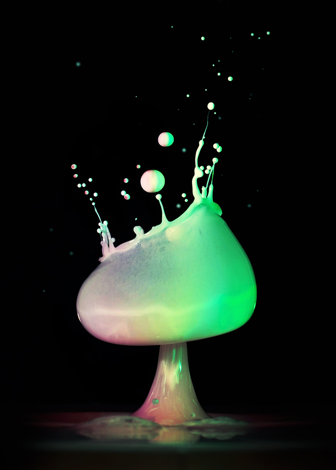 Bowl of wonders