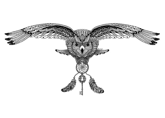 Owl and dreamcatcher