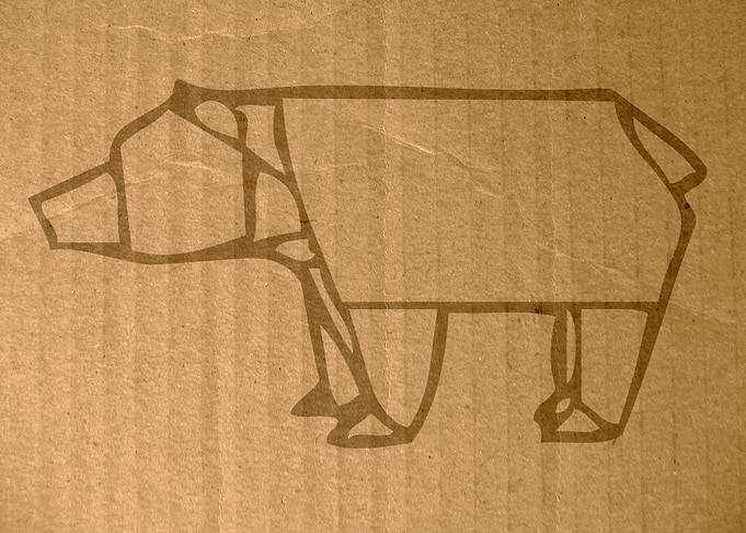 Bear