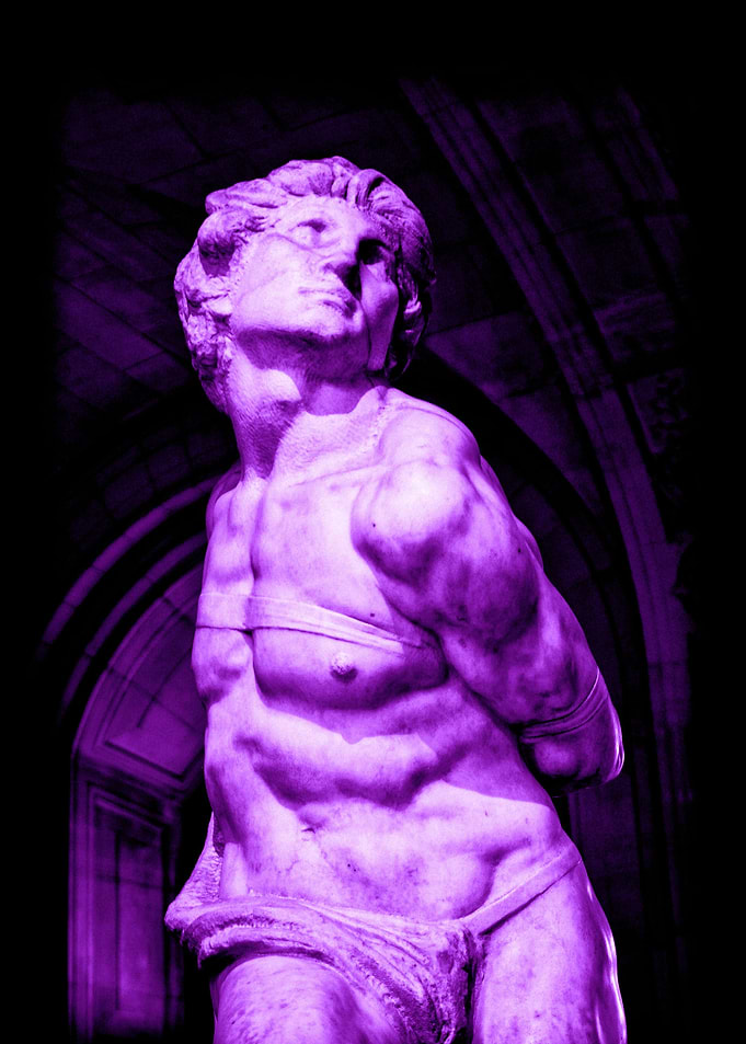 Lilac Perfection