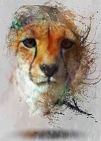 Leopard Portrait Water Color Splash