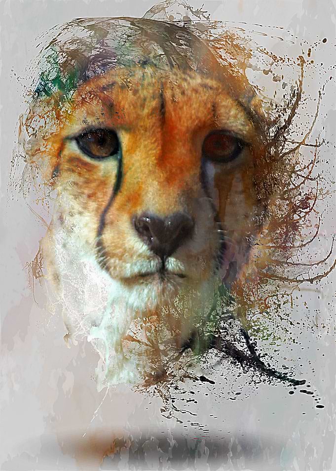 Leopard Portrait Water Color Splash