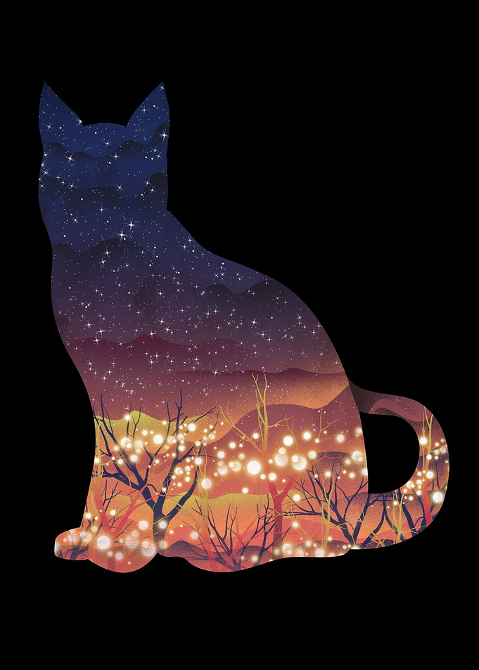 Space Cat