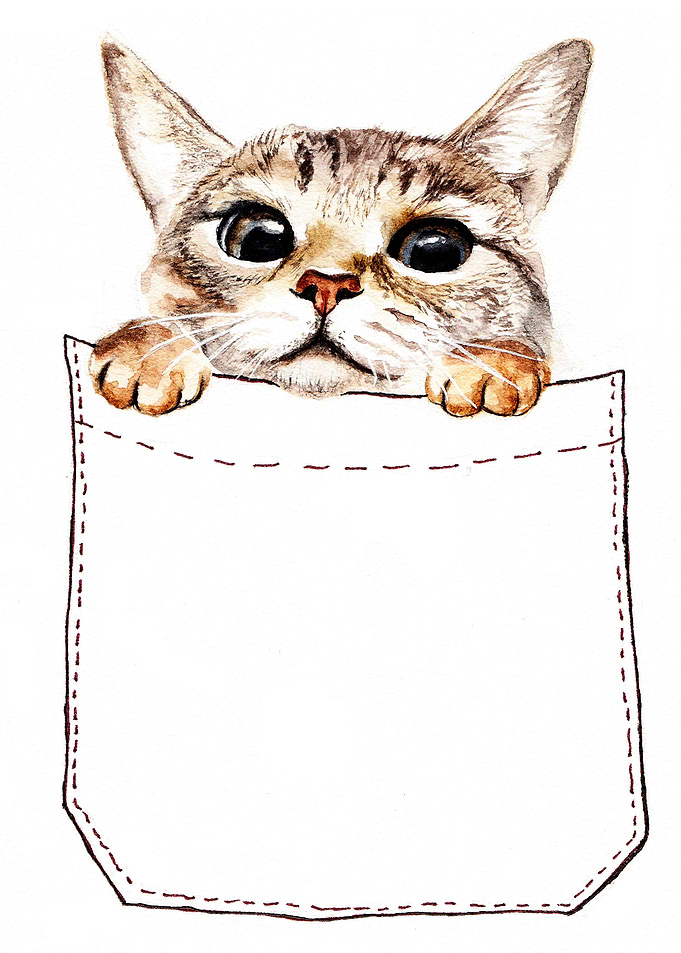 Pocket cat