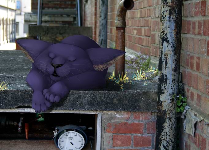 Shhh Dont Wake Him Up