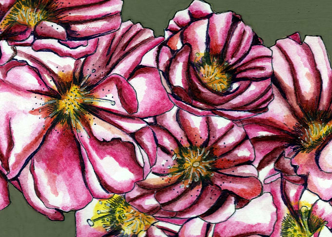 Almond Tree Flowers