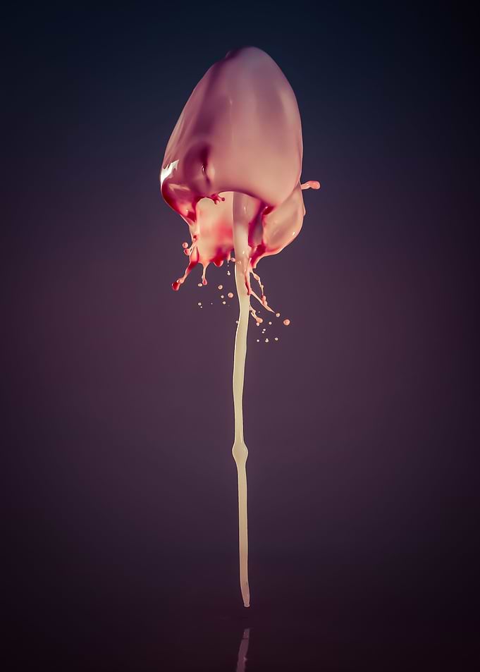 Cream and red form