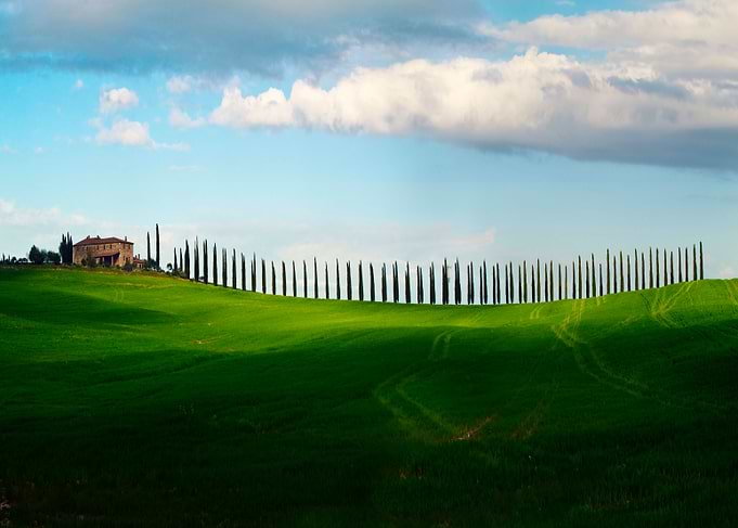 Cypresses Alley in Toscany