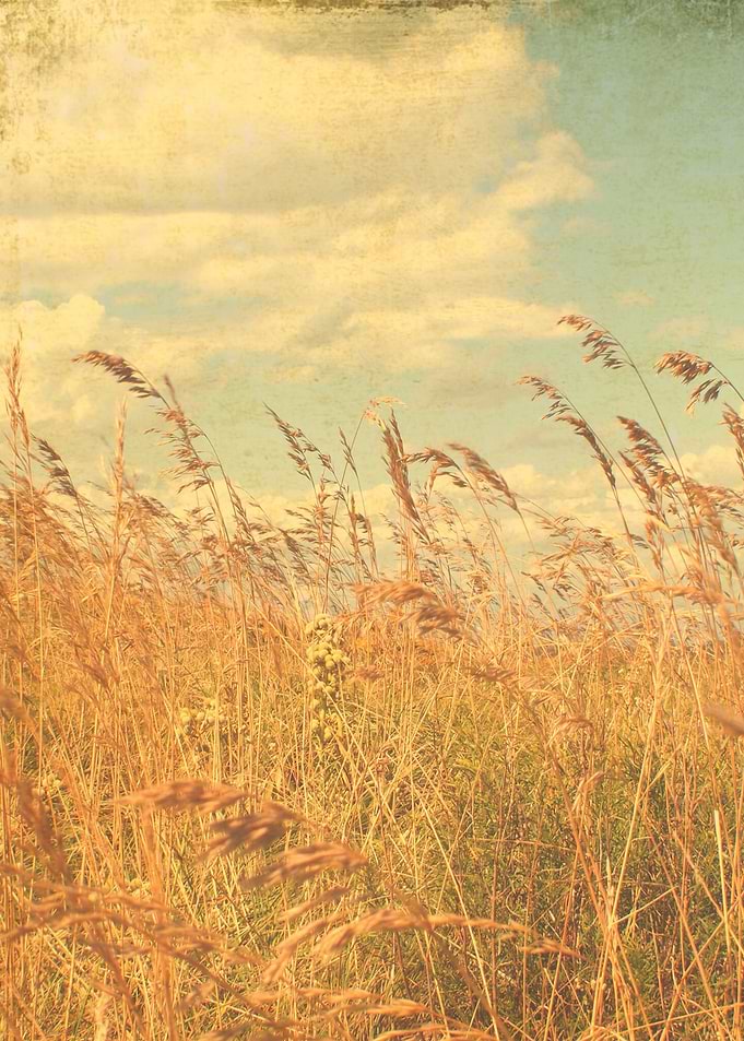 WINDS FROM HOME