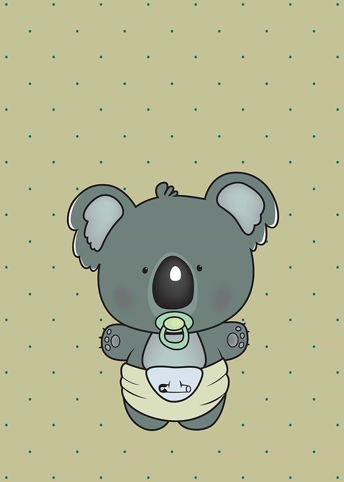 baby koala