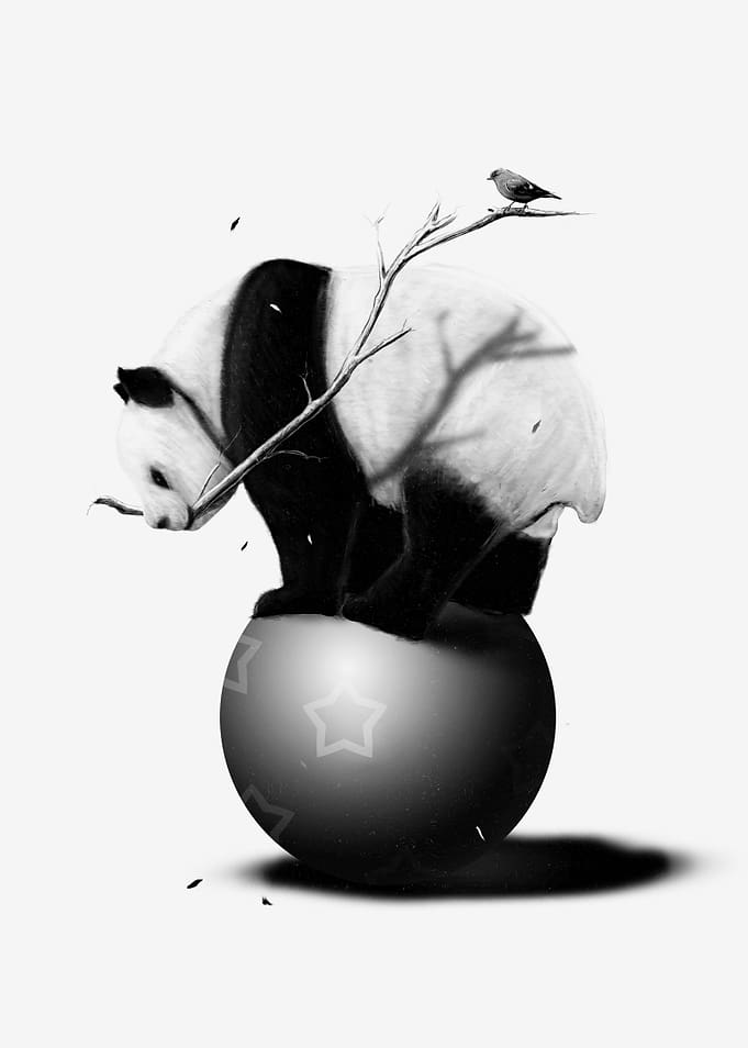 Balance II