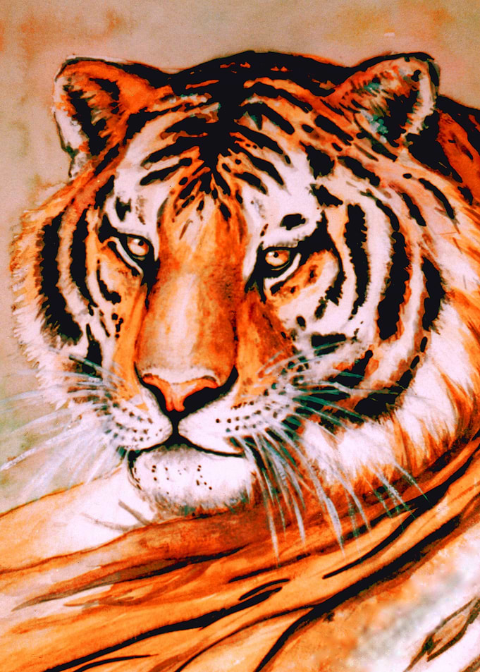 The Tiger at Rest
