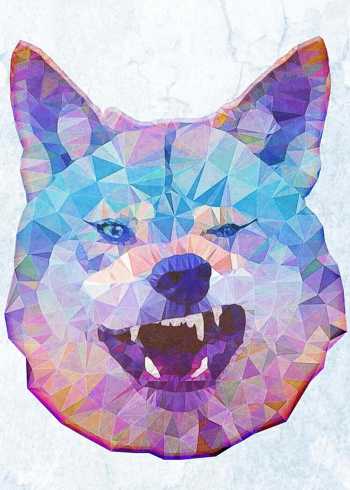 rainbow wolf