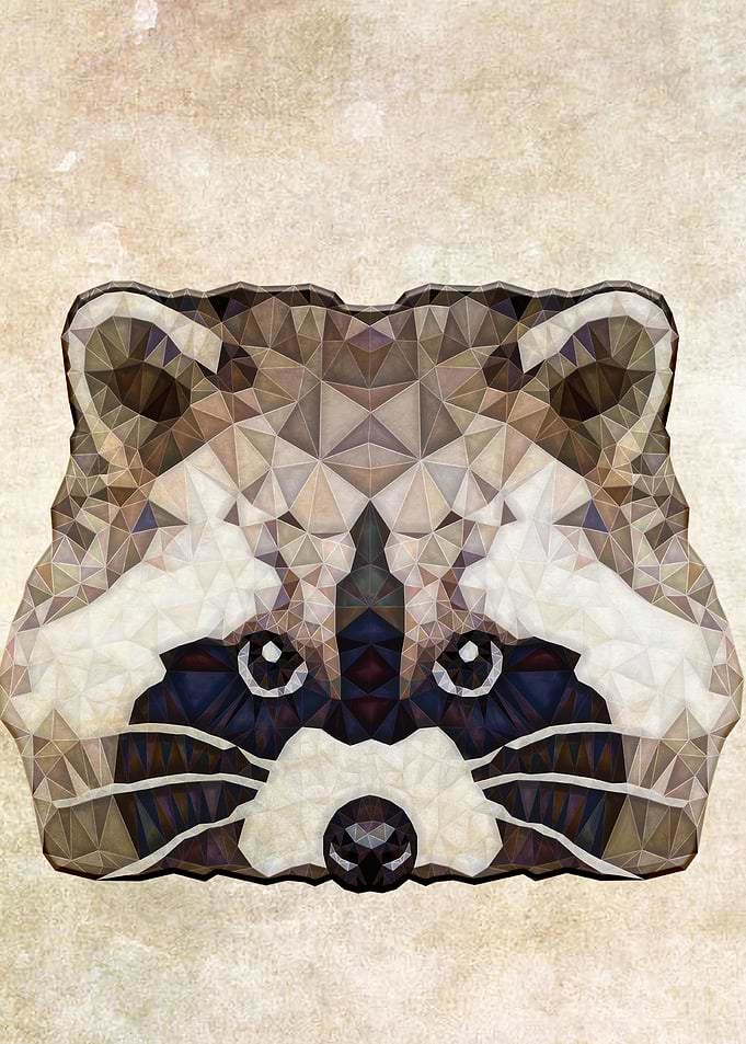 abstract racoon