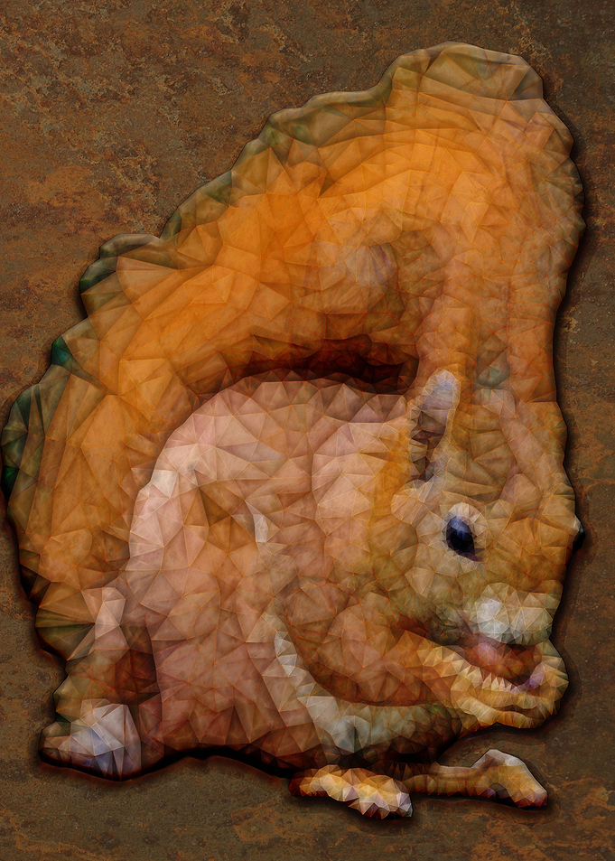 sqirrangle