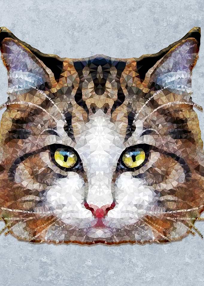 MEOW