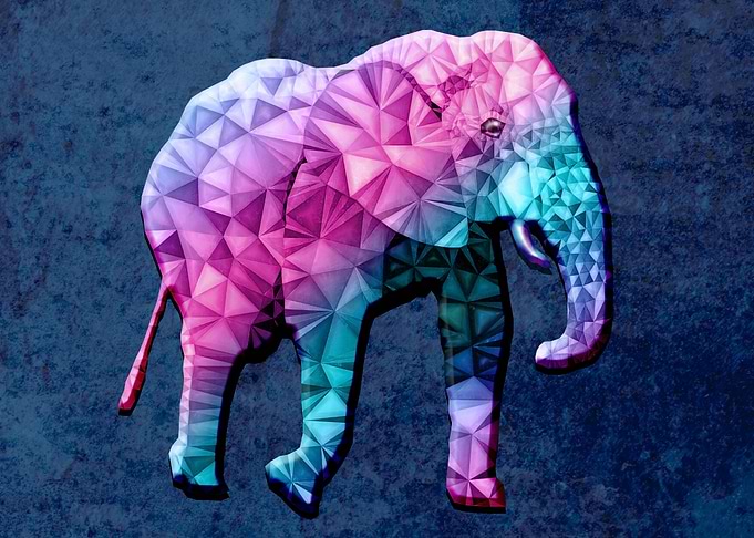 rainbow elephant